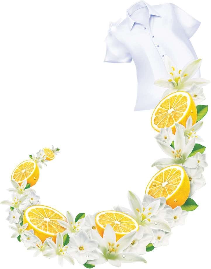 Wheel Active 2 in 1 Detergent Powder - Clean and Fresh (Blue) 1kg