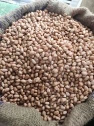 Whole Farm Premium Raw Peanuts/Moongfali