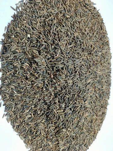 RM MAHARAJ KAKA, 50GM