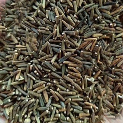 RM MAHARAJ KAKA, 50GM