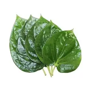 Betel Leaf (Paan Patta) 10 pcs