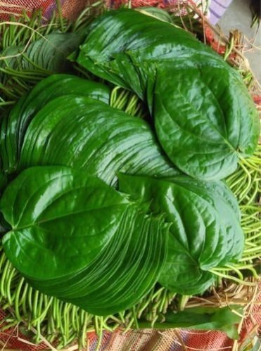 Betel Leaf (Paan Patta) 10 pcs